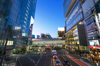 渋谷の夜景 [SKE110001462]