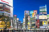 渋谷の夜景 [SKE110001472]