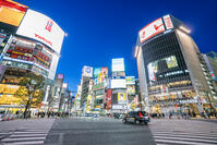 渋谷の夜景 [SKE110001473]