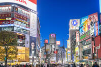 渋谷の夜景 [SKE110001478]