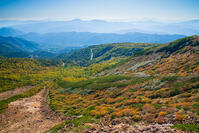 長野県　乗鞍岳の紅葉 [SKE110001488]