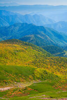 長野県　乗鞍岳の紅葉 [SKE110001496]