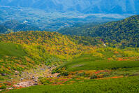 長野県　乗鞍岳の紅葉 [SKE110001497]