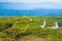 長野県　乗鞍岳の紅葉 [SKE110001503]