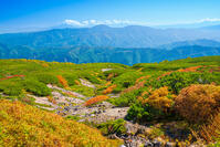 長野県　乗鞍岳の紅葉 [SKE110001505]
