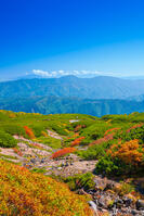 長野県　乗鞍岳の紅葉 [SKE110001508]