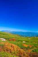 長野県　乗鞍岳の紅葉 [SKE110001510]
