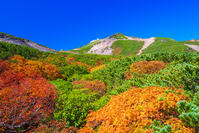 長野県　乗鞍岳の紅葉 [SKE110001515]