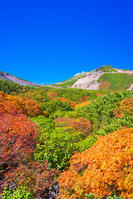 長野県　乗鞍岳の紅葉 [SKE110001517]