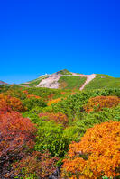 長野県　乗鞍岳の紅葉 [SKE110001518]