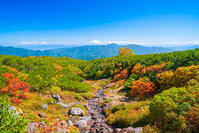 長野県　乗鞍岳の紅葉 [SKE110001523]