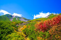 長野県　乗鞍岳の紅葉 [SKE110001526]