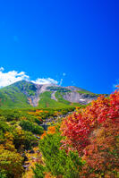 長野県　乗鞍岳の紅葉 [SKE110001528]