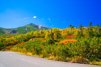 長野県　乗鞍岳の紅葉 [SKE110001529]