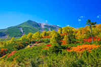 長野県　乗鞍岳の紅葉 [SKE110001531]