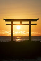 茨城県　大洗磯前神社の日の出 [SKE110001547]