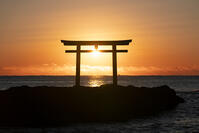 茨城県　大洗磯前神社の日の出 [SKE110001551]