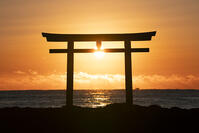 茨城県　大洗磯前神社の日の出 [SKE110001552]