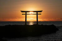 茨城県　大洗磯前神社の日の出 [SKE110001556]