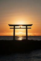 茨城県　大洗磯前神社の日の出 [SKE110001557]