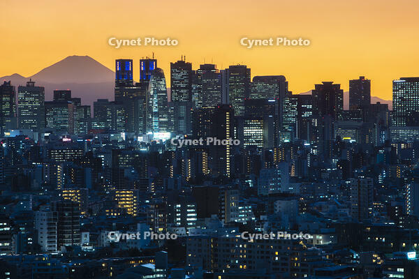 新宿の夜景と富士山 [SKE110001448]