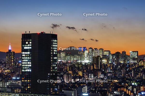 新宿の夜景と富士山 [SKE110001449]