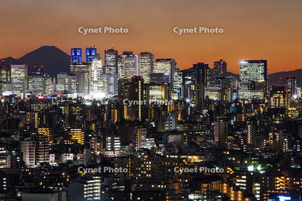 新宿の夜景と富士山 [SKE110001453]