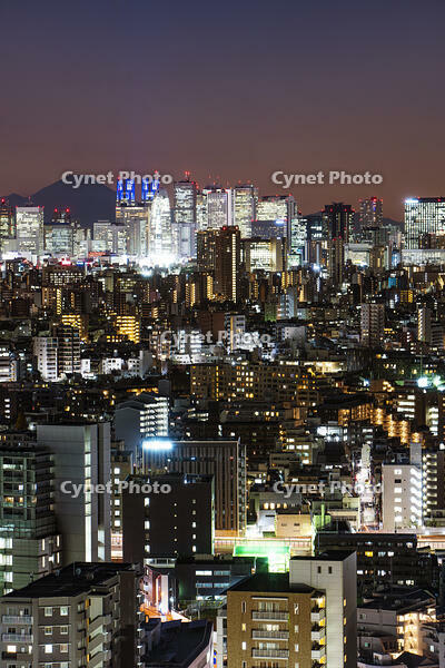 新宿の夜景と富士山 [SKE110001456]