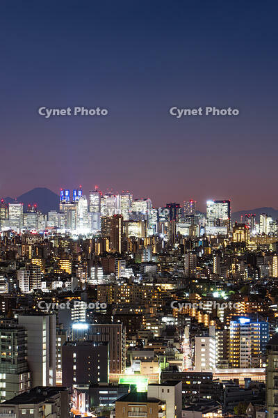 新宿の夜景と富士山 [SKE110001460]