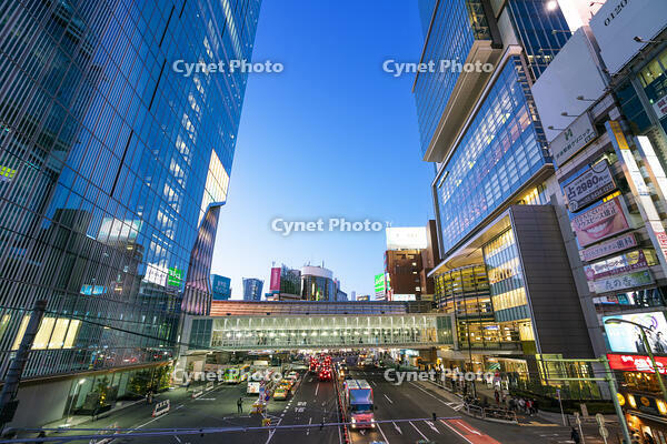 渋谷の夜景 [SKE110001461]