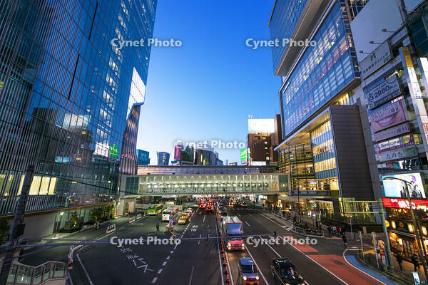 渋谷の夜景 [SKE110001462]