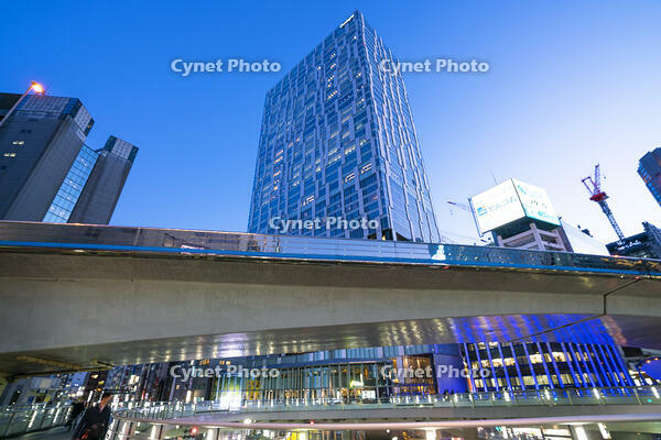 渋谷の夜景 [SKE110001463]
