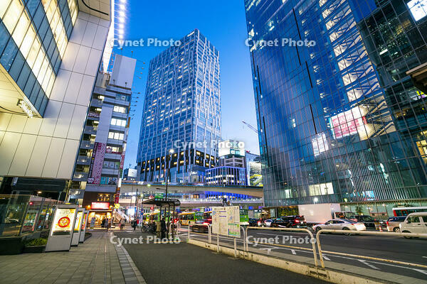 渋谷の夜景 [SKE110001465]