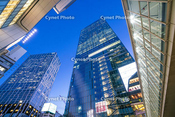 渋谷の夜景 [SKE110001466]