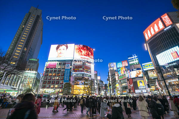 渋谷の夜景 [SKE110001468]