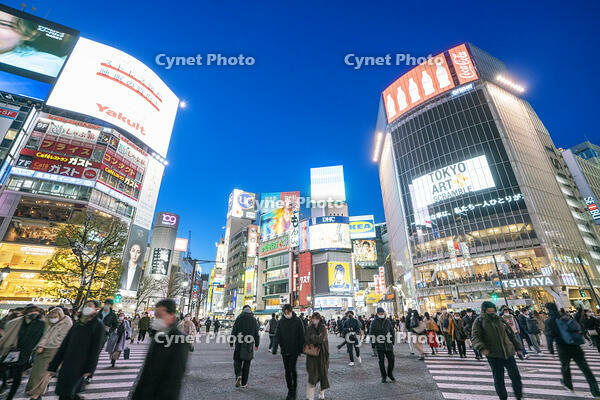 渋谷の夜景 [SKE110001470]