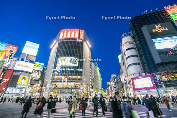 渋谷の夜景 [SKE110001471]