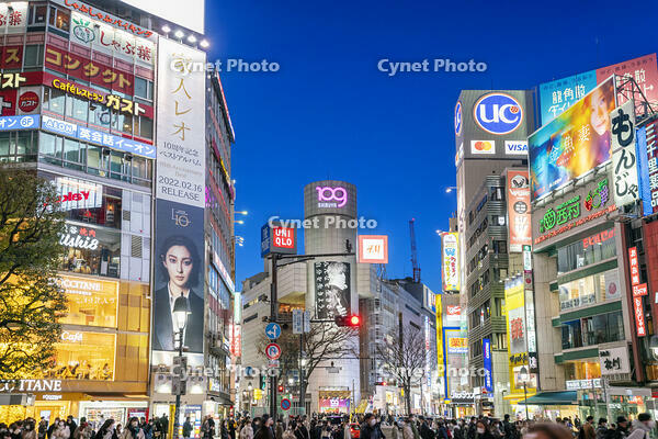 渋谷の夜景 [SKE110001474]