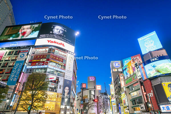 渋谷の夜景 [SKE110001476]