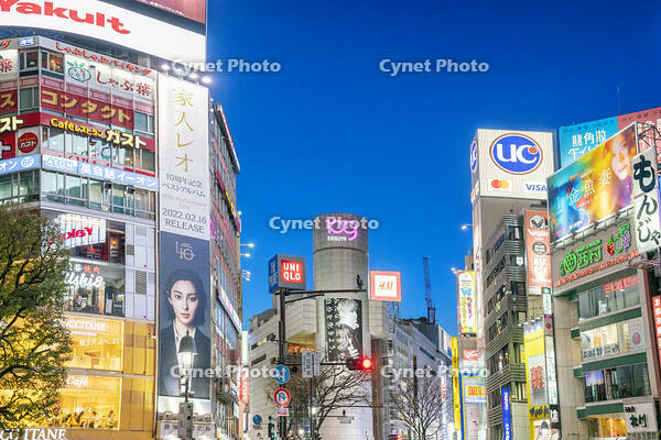 渋谷の夜景 [SKE110001477]