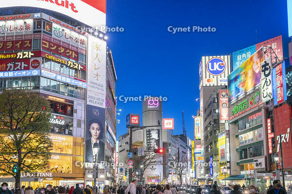 渋谷の夜景 [SKE110001478]