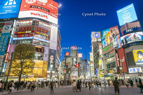 渋谷の夜景 [SKE110001479]