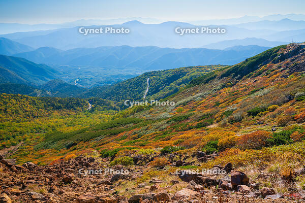長野県　乗鞍岳の紅葉 [SKE110001486]
