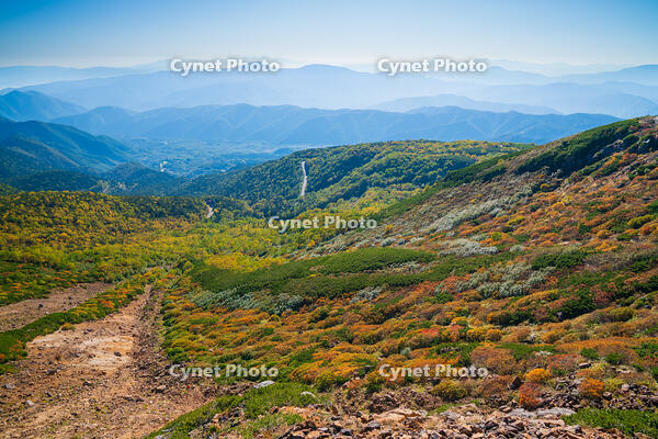 長野県　乗鞍岳の紅葉 [SKE110001488]