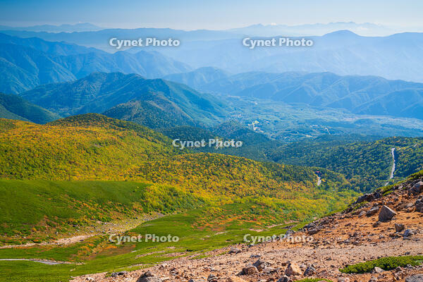 長野県　乗鞍岳の紅葉 [SKE110001491]