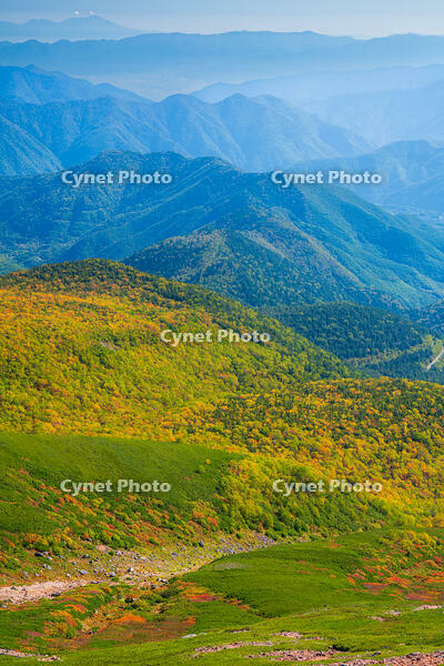 長野県　乗鞍岳の紅葉 [SKE110001496]