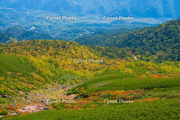 長野県　乗鞍岳の紅葉 [SKE110001497]