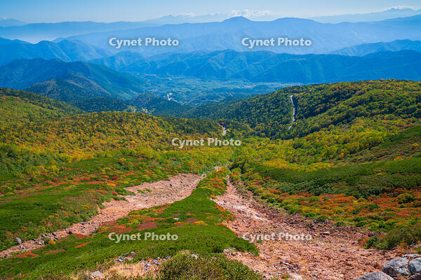 長野県　乗鞍岳の紅葉 [SKE110001498]