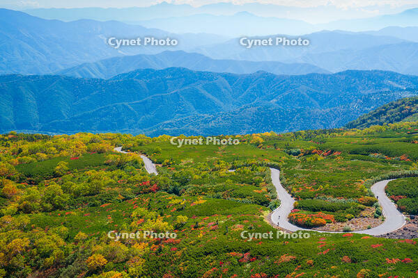 長野県　乗鞍岳の紅葉 [SKE110001500]