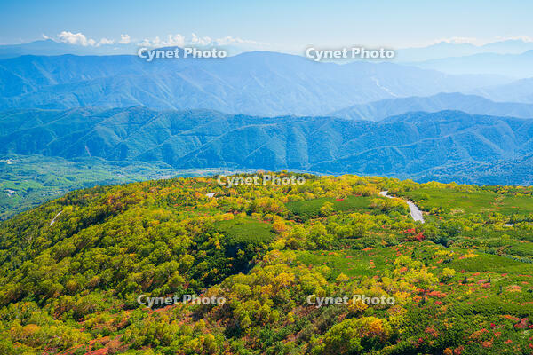 長野県　乗鞍岳の紅葉 [SKE110001501]
